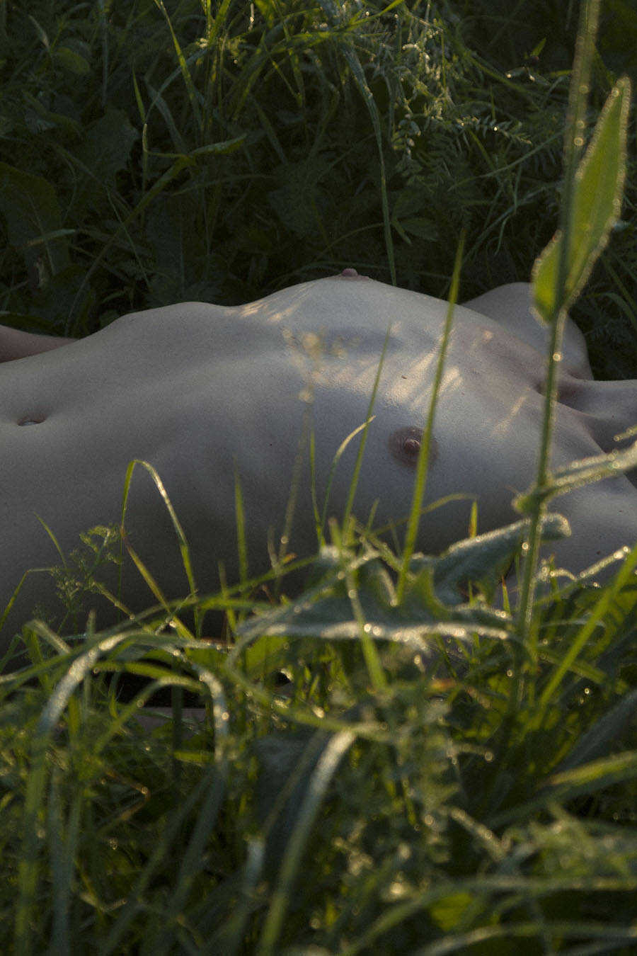 Γυμνή και ξαπλωμένη στην φύση η Anya Belousova