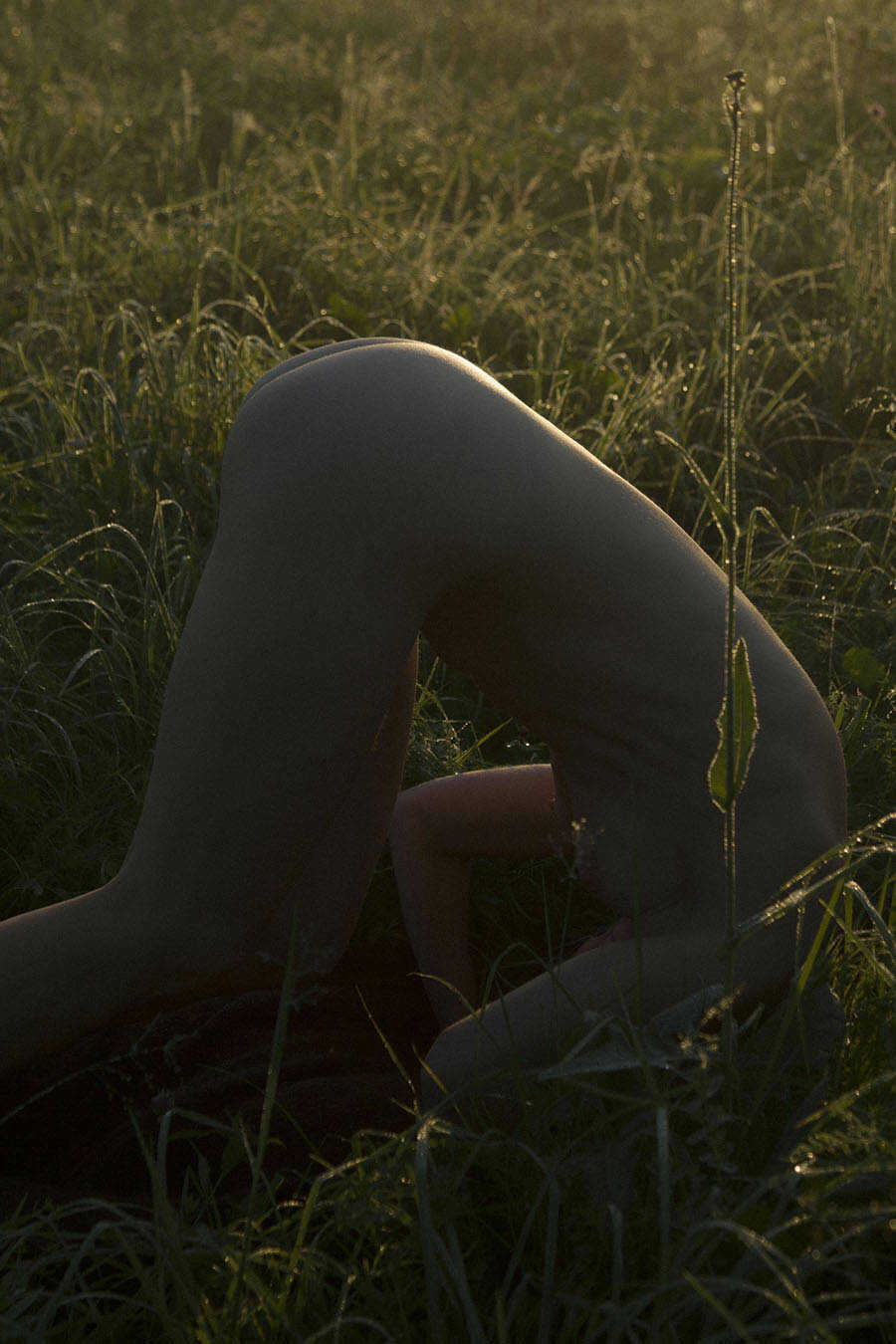 Γυμνή και ξαπλωμένη στην φύση η Anya Belousova