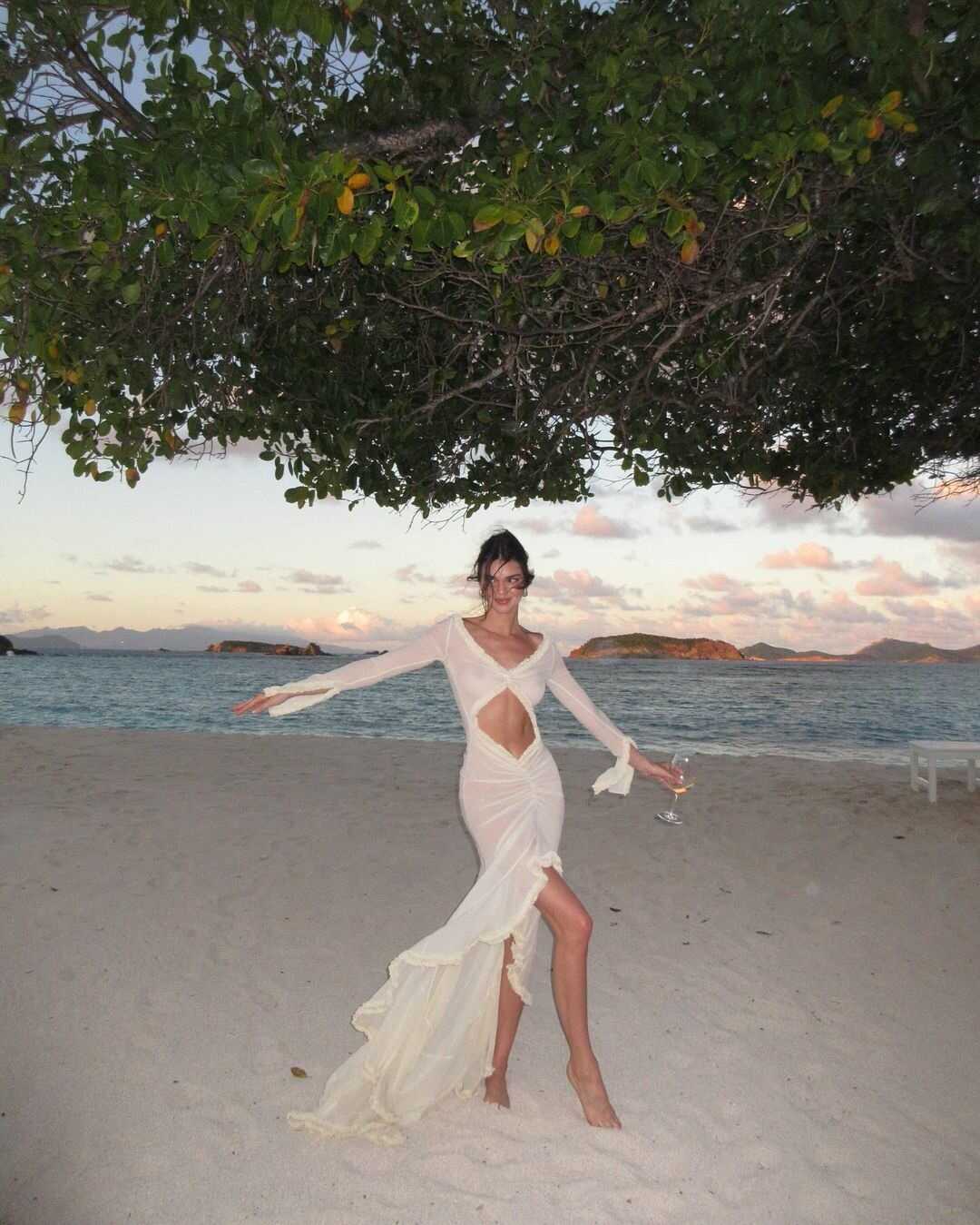 Η μουνάρα Kendall Jenner με see through φόρεμα